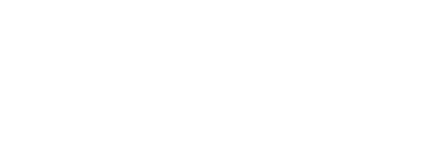 Logo Vnet Blanco
